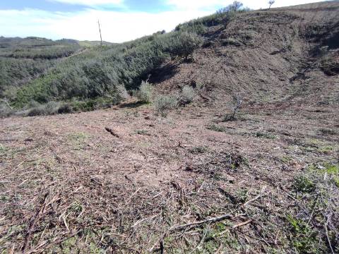 TERRENO RÚSTICO COM 5.920 M2 - BONS ACESSOS - CORTELHA - AZINHAL - CASTRO MARIM - ALGARVE