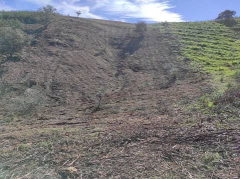 TERRENO RÚSTICO COM 5.920 M2 - BONS ACESSOS - CORTELHA - AZINHAL - CASTRO MARIM - ALGARVE
