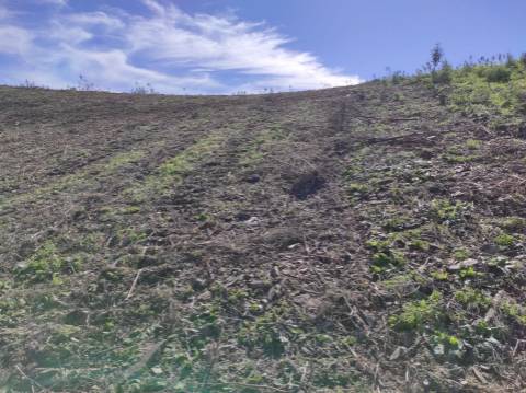 TERRENO RÚSTICO COM 5.920 M2 - BONS ACESSOS - CORTELHA - AZINHAL - CASTRO MARIM - ALGARVE