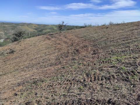 TERRENO RÚSTICO COM 5.920 M2 - BONS ACESSOS - CORTELHA - AZINHAL - CASTRO MARIM - ALGARVE