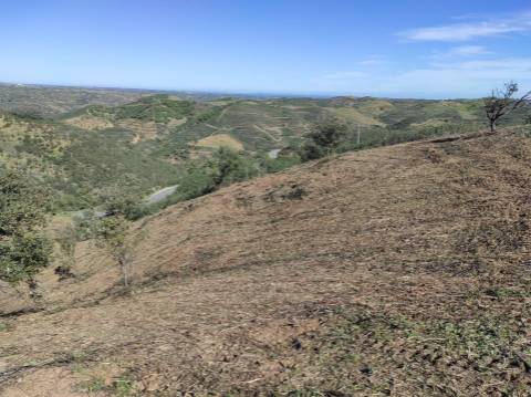 TERRENO RÚSTICO COM 5.920 M2 - BONS ACESSOS - CORTELHA - AZINHAL - CASTRO MARIM - ALGARVE