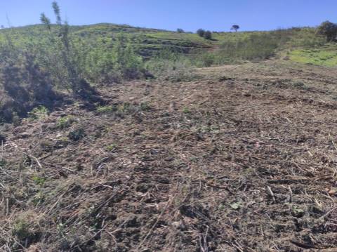 TERRENO RÚSTICO COM 5.920 M2 - BONS ACESSOS - CORTELHA - AZINHAL - CASTRO MARIM - ALGARVE