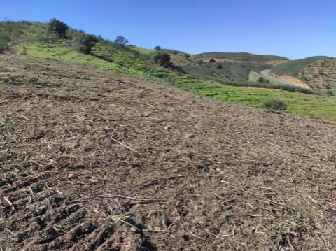 TERRENO RÚSTICO COM 5.920 M2 - BONS ACESSOS - CORTELHA - AZINHAL - CASTRO MARIM - ALGARVE