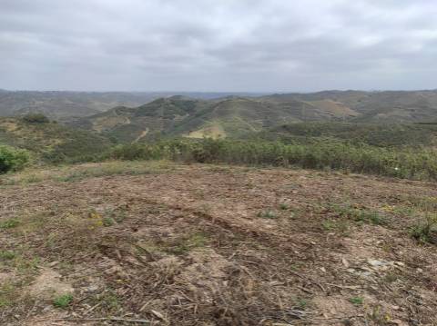 TERRENO RÚSTICO COM 5.920 M2 - BONS ACESSOS - CORTELHA - AZINHAL - CASTRO MARIM - ALGARVE