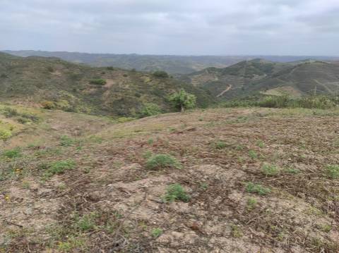 TERRENO RÚSTICO COM 5.920 M2 - BONS ACESSOS - CORTELHA - AZINHAL - CASTRO MARIM - ALGARVE