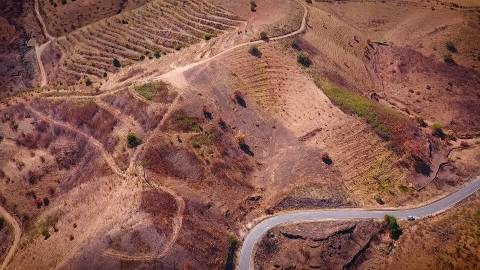 TERRENO RÚSTICO COM 5.920 M2 - BONS ACESSOS - CORTELHA - AZINHAL - CASTRO MARIM - ALGARVE