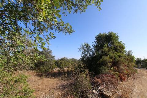 Terreno rústico com 1.640 m2