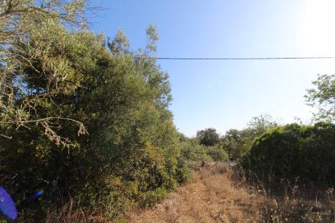 Terreno rústico com 1.640 m2