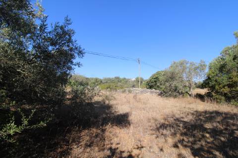 Terreno rústico com 1.640 m2