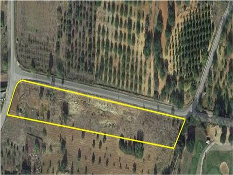 Terreno rústico com 7263m2, situado a cerca de 6 Km da cidade de Tavira.
