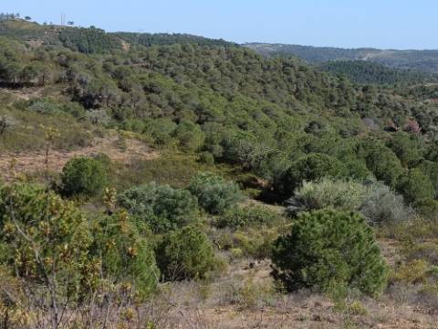 TERRENO COM 19.040 M2 PRÓXIMO AO VALE PEREIRO EM ODELEITE - CASTRO MARIM - ALGARVE