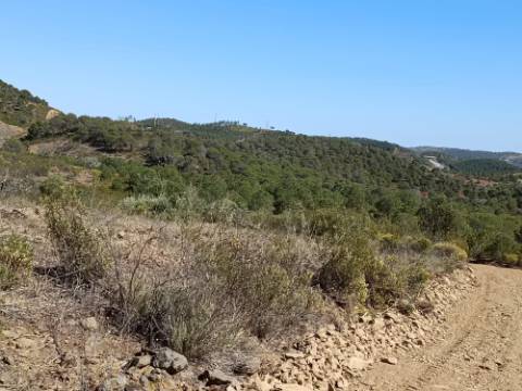 TERRENO COM 19.040 M2 PRÓXIMO AO VALE PEREIRO EM ODELEITE - CASTRO MARIM - ALGARVE