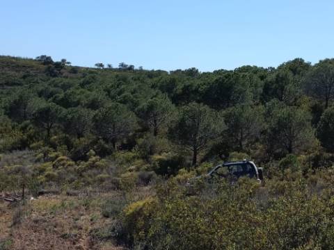 TERRENO COM 19.040 M2 PRÓXIMO AO VALE PEREIRO EM ODELEITE - CASTRO MARIM - ALGARVE