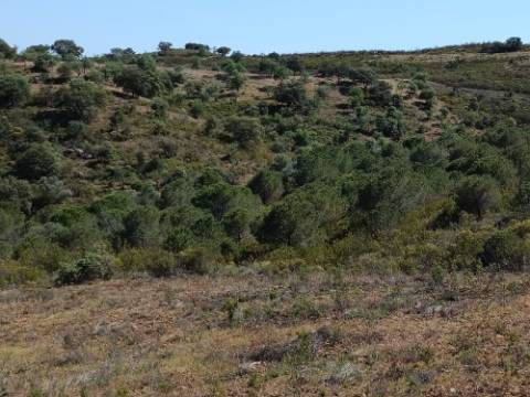 TERRENO COM 19.040 M2 PRÓXIMO AO VALE PEREIRO EM ODELEITE - CASTRO MARIM - ALGARVE