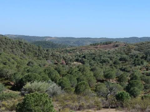 TERRENO COM 19.040 M2 PRÓXIMO AO VALE PEREIRO EM ODELEITE - CASTRO MARIM - ALGARVE