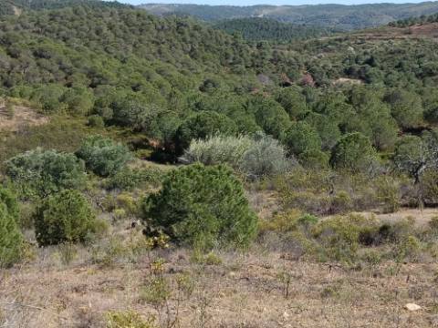 TERRENO COM 19.040 M2 PRÓXIMO AO VALE PEREIRO EM ODELEITE - CASTRO MARIM - ALGARVE