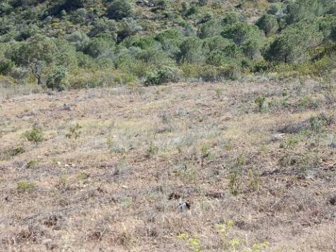 TERRENO COM 19.040 M2 PRÓXIMO AO VALE PEREIRO EM ODELEITE - CASTRO MARIM - ALGARVE