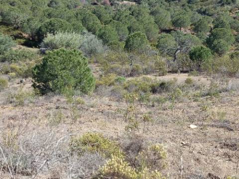 TERRENO COM 19.040 M2 PRÓXIMO AO VALE PEREIRO EM ODELEITE - CASTRO MARIM - ALGARVE