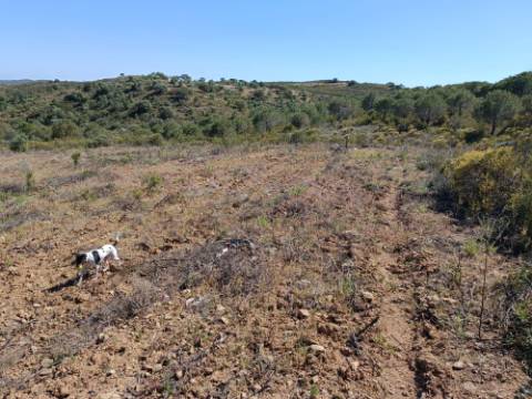 TERRENO COM 19.040 M2 PRÓXIMO AO VALE PEREIRO EM ODELEITE - CASTRO MARIM - ALGARVE