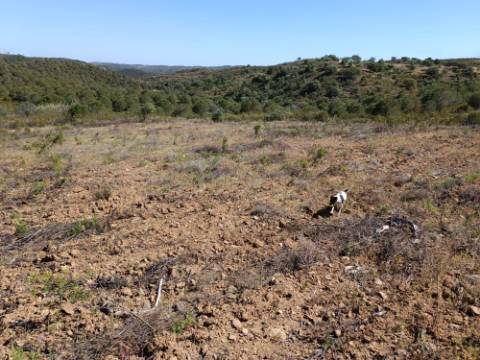 TERRENO COM 19.040 M2 PRÓXIMO AO VALE PEREIRO EM ODELEITE - CASTRO MARIM - ALGARVE