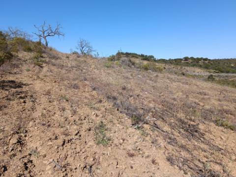 TERRENO COM 19.040 M2 PRÓXIMO AO VALE PEREIRO EM ODELEITE - CASTRO MARIM - ALGARVE
