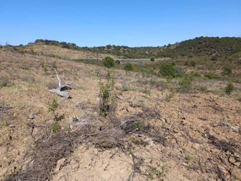TERRENO COM 19.040 M2 PRÓXIMO AO VALE PEREIRO EM ODELEITE - CASTRO MARIM - ALGARVE