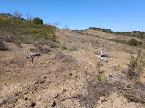 TERRENO COM 19.040 M2 PRÓXIMO AO VALE PEREIRO EM ODELEITE - CASTRO MARIM - ALGARVE