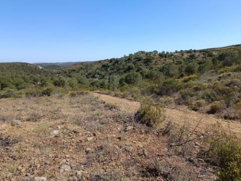 TERRENO COM 19.040 M2 PRÓXIMO AO VALE PEREIRO EM ODELEITE - CASTRO MARIM - ALGARVE