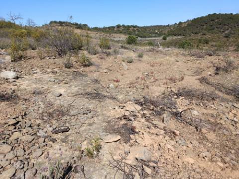 TERRENO COM 19.040 M2 PRÓXIMO AO VALE PEREIRO EM ODELEITE - CASTRO MARIM - ALGARVE