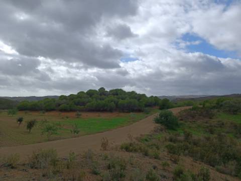 TERRENO RÚSTICO COM 3.800 M2 - PRÓXIMO AS ALCARIAS GRANDES - CASTRO MARIM - ALGARVE