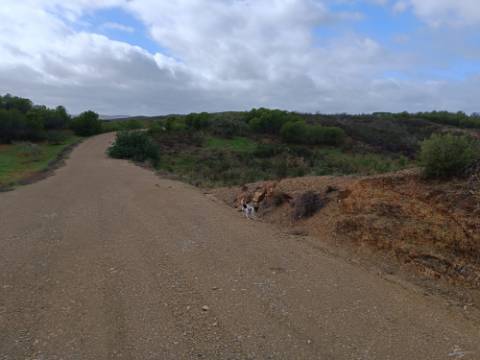 TERRENO RÚSTICO COM 3.800 M2 - PRÓXIMO AS ALCARIAS GRANDES - CASTRO MARIM - ALGARVE