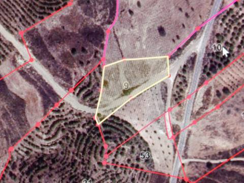 TERRENO RÚSTICO COM 3.800 M2 - PRÓXIMO AS ALCARIAS GRANDES - CASTRO MARIM - ALGARVE