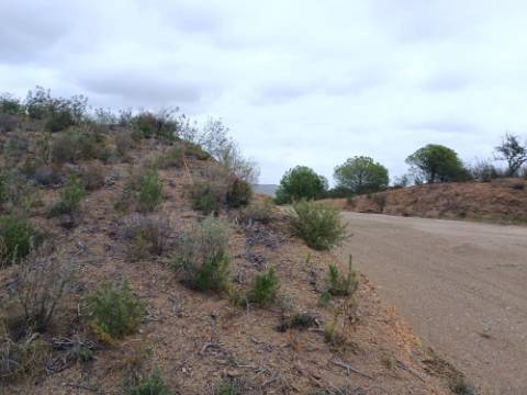 TERRENO RÚSTICO COM 3.800 M2 - PRÓXIMO AS ALCARIAS GRANDES - CASTRO MARIM - ALGARVE