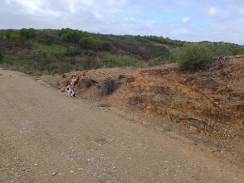 TERRENO RÚSTICO COM 3.800 M2 - PRÓXIMO AS ALCARIAS GRANDES - CASTRO MARIM - ALGARVE