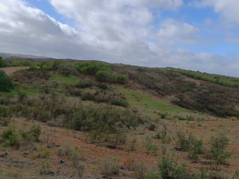 TERRENO RÚSTICO COM 3.800 M2 - PRÓXIMO AS ALCARIAS GRANDES - CASTRO MARIM - ALGARVE