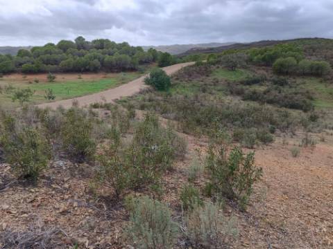 TERRENO RÚSTICO COM 3.800 M2 - PRÓXIMO AS ALCARIAS GRANDES - CASTRO MARIM - ALGARVE