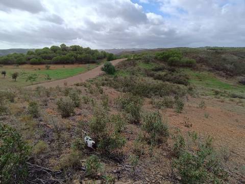 TERRENO RÚSTICO COM 3.800 M2 - PRÓXIMO AS ALCARIAS GRANDES - CASTRO MARIM - ALGARVE