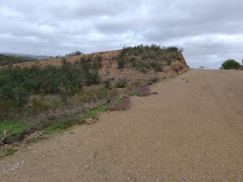 TERRENO RÚSTICO COM 3.800 M2 - PRÓXIMO AS ALCARIAS GRANDES - CASTRO MARIM - ALGARVE