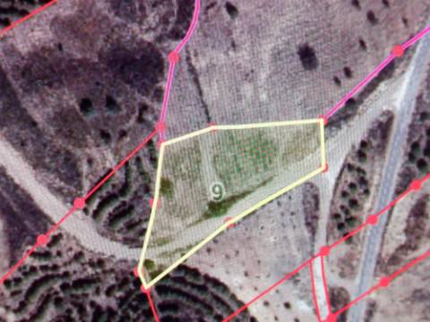 TERRENO RÚSTICO COM 3.800 M2 - PRÓXIMO AS ALCARIAS GRANDES - CASTRO MARIM - ALGARVE