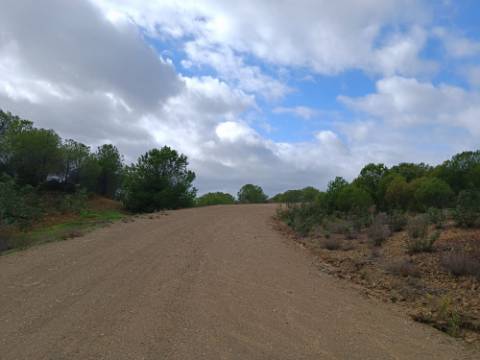 TERRENO RÚSTICO COM 3.800 M2 - PRÓXIMO AS ALCARIAS GRANDES - CASTRO MARIM - ALGARVE