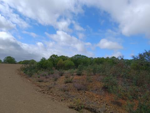 TERRENO RÚSTICO COM 3.800 M2 - PRÓXIMO AS ALCARIAS GRANDES - CASTRO MARIM - ALGARVE