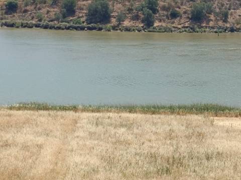 TERRENO COM 12.880 M2 - COM DUAS FRENTES: RIO E RIBEIRA - FOZ DE ODELEITE - CASTRO MARIM - ALGARVE