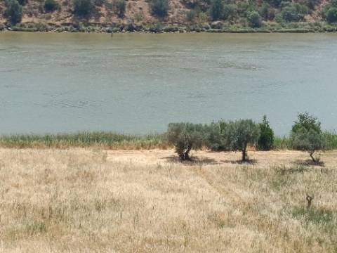 TERRENO COM 12.880 M2 - COM DUAS FRENTES: RIO E RIBEIRA - FOZ DE ODELEITE - CASTRO MARIM - ALGARVE