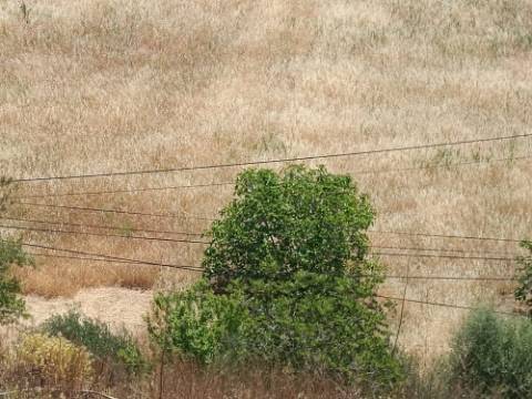 TERRENO COM 12.880 M2 - COM DUAS FRENTES: RIO E RIBEIRA - FOZ DE ODELEITE - CASTRO MARIM - ALGARVE