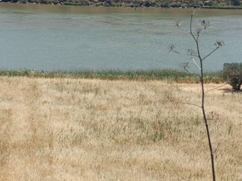 TERRENO COM 12.880 M2 - COM DUAS FRENTES: RIO E RIBEIRA - FOZ DE ODELEITE - CASTRO MARIM - ALGARVE