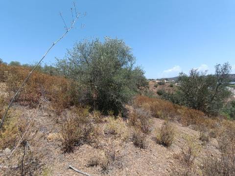 TERRENO COM 12.880 M2 - COM DUAS FRENTES: RIO E RIBEIRA - FOZ DE ODELEITE - CASTRO MARIM - ALGARVE