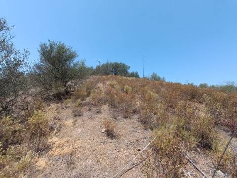 TERRENO COM 12.880 M2 - COM DUAS FRENTES: RIO E RIBEIRA - FOZ DE ODELEITE - CASTRO MARIM - ALGARVE