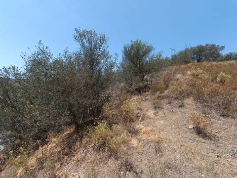 TERRENO COM 12.880 M2 - COM DUAS FRENTES: RIO E RIBEIRA - FOZ DE ODELEITE - CASTRO MARIM - ALGARVE