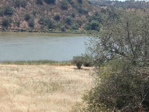 TERRENO COM 12.880 M2 - COM DUAS FRENTES: RIO E RIBEIRA - FOZ DE ODELEITE - CASTRO MARIM - ALGARVE