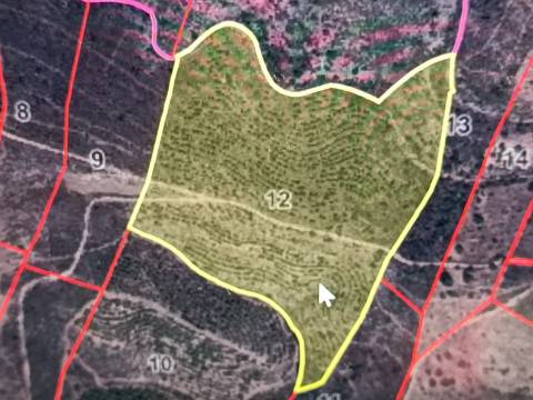 TERRENO COM 60.200 M2 - COM POSSIBILIDADE DE CONSTRUÇÃO - MORADIA - TURISMO - PALMEIRA - ALCOUTIM - ALGARVE